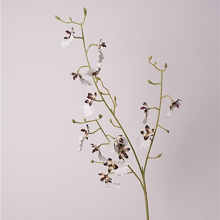 Orchid Oncidium Flower Decor