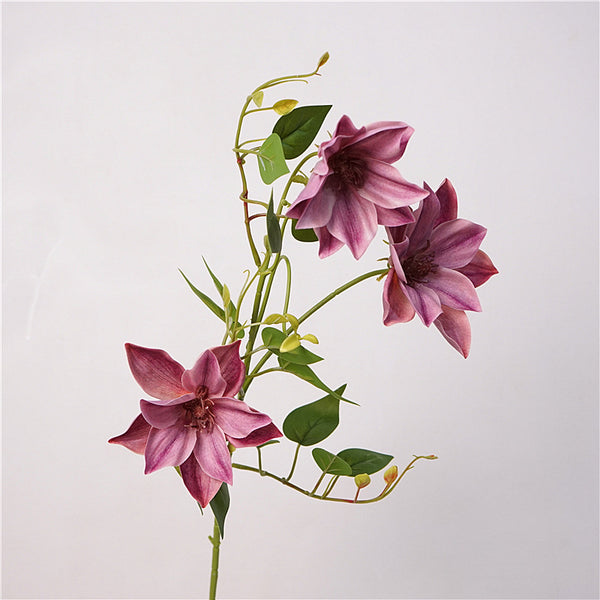 Clematis Flower Decor