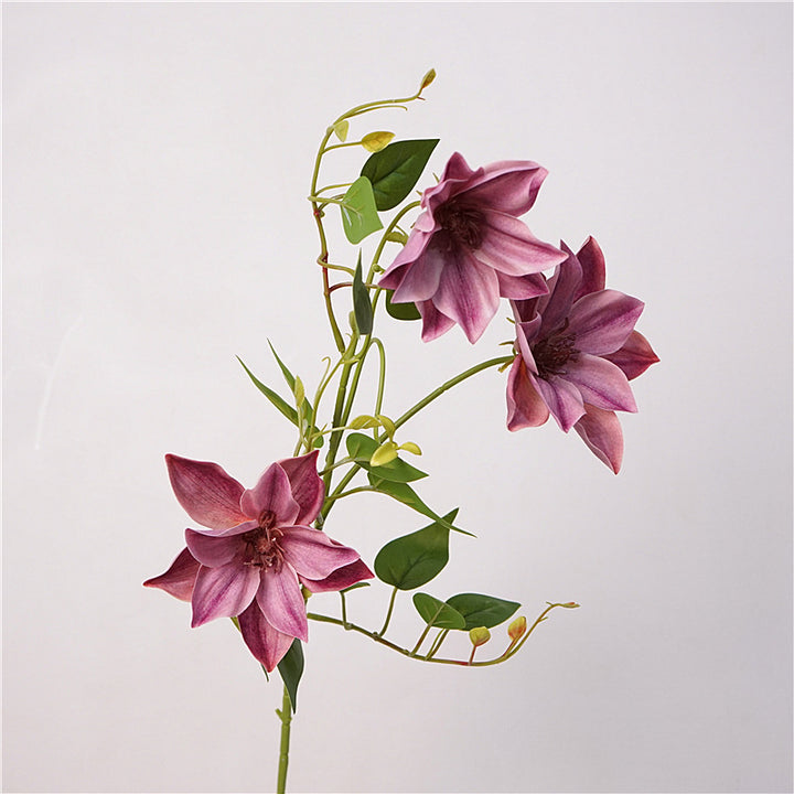Clematis Flower Decor