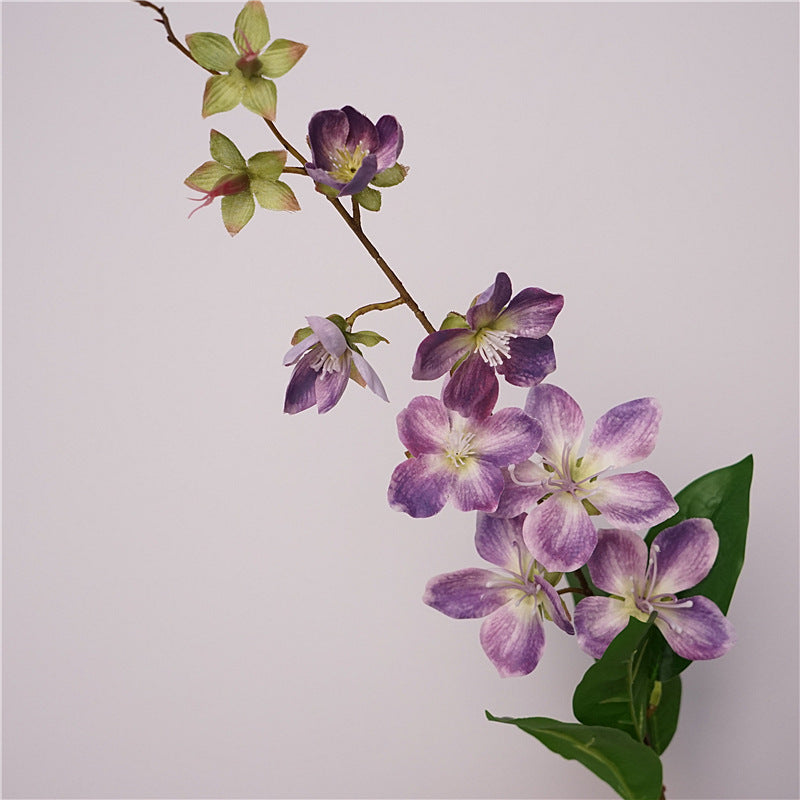 Merr’s Clerodendrum Flower Decor