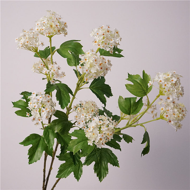 Viburnum Flower Decor