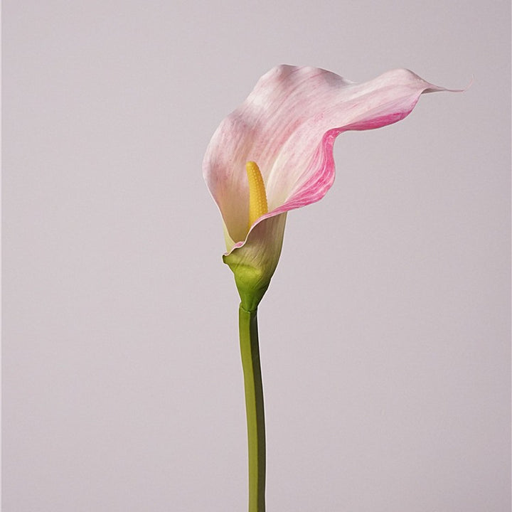 Calla Lily Flower Decor