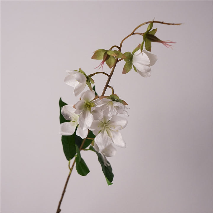 Merr’s Clerodendrum Flower Decor