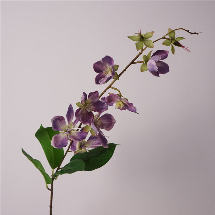 Merr’s Clerodendrum Flower Decor