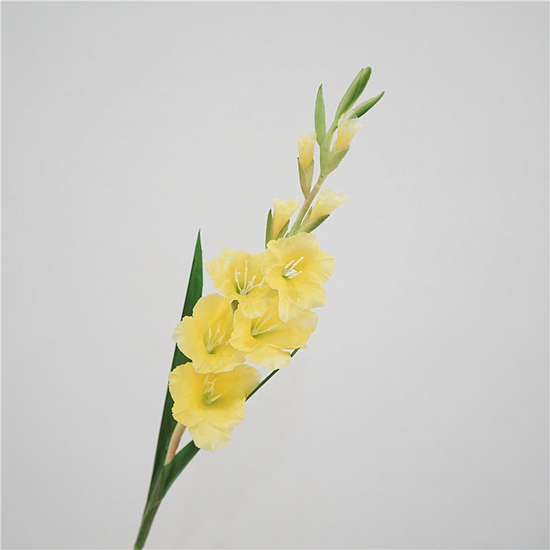 Gladiolus Flower Decor