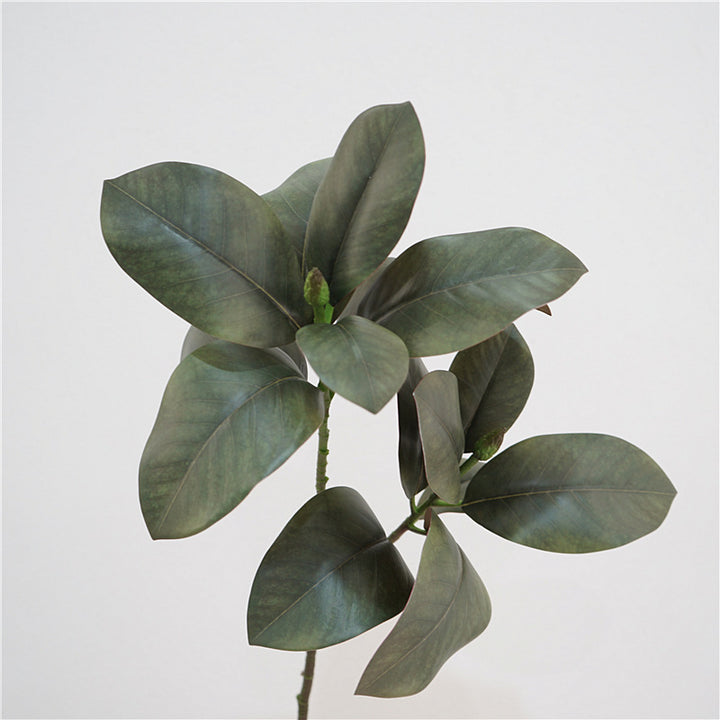 Magnolia Leaf Decor