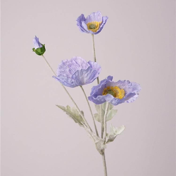 Iceland Poppies Flower Decor