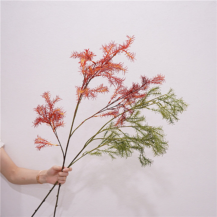Asparagus Fern Flower Decor