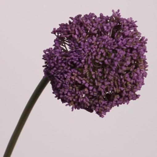Luxe Allium Flower Decor