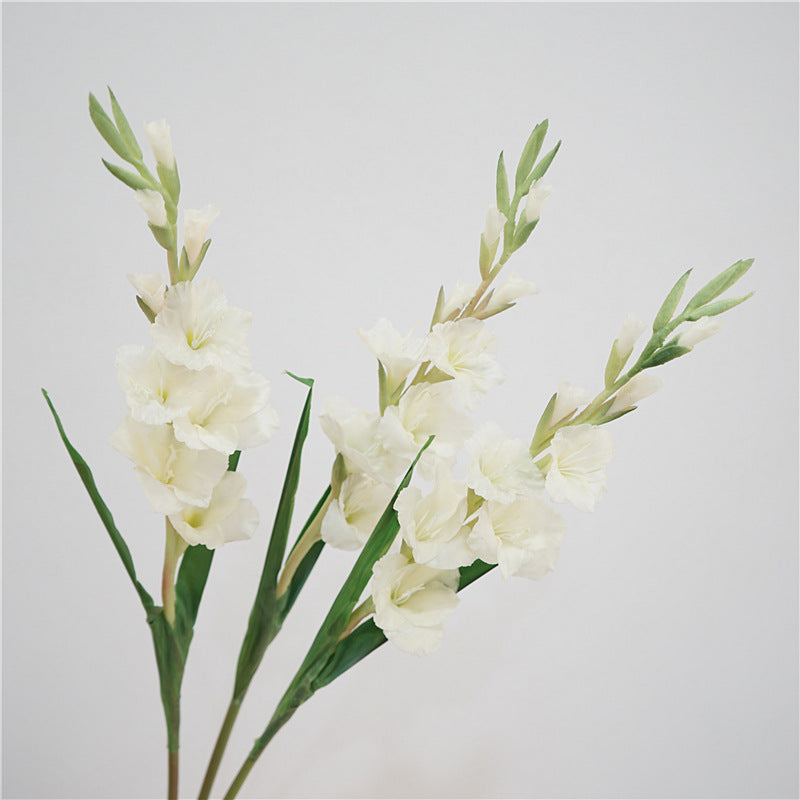 Gladiolus Flower Decor