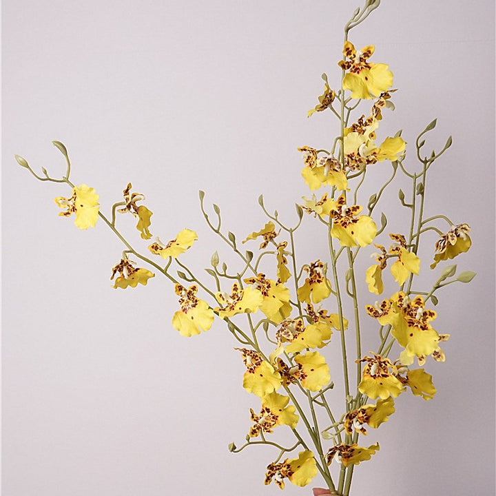 Orchid Oncidium Flower Decor