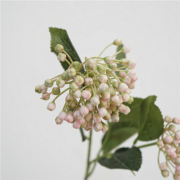 Viburnum Bud Flower Decor