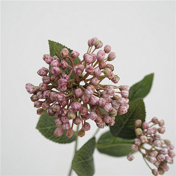 Viburnum Bud Flower Decor