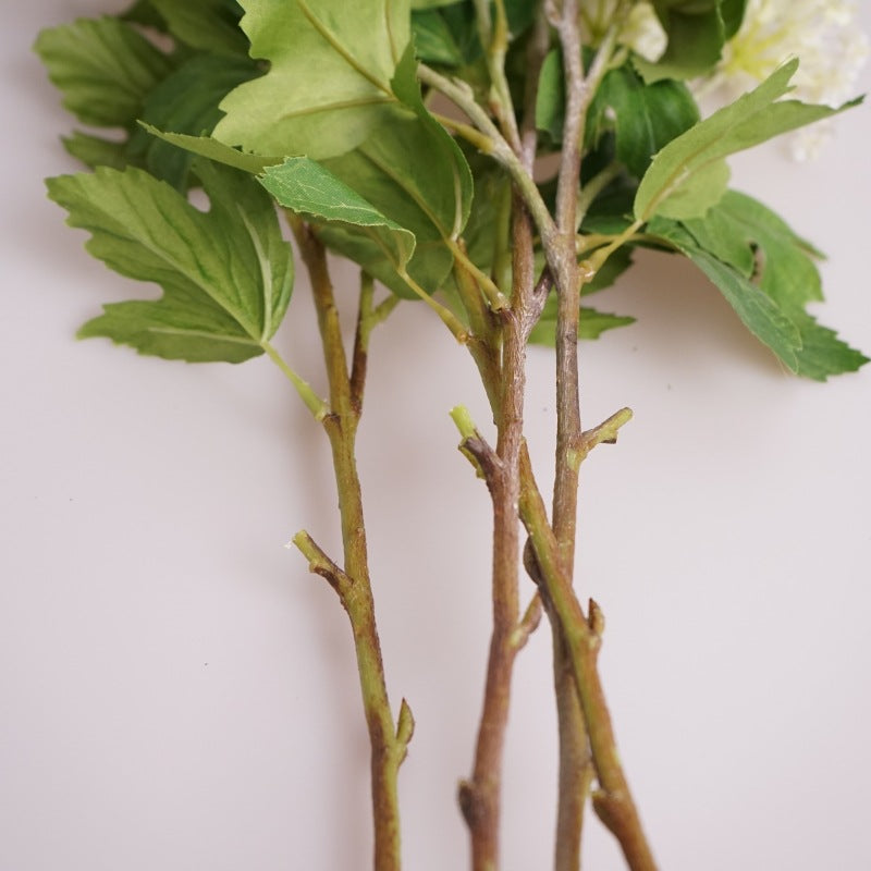 Viburnum Flower Decor