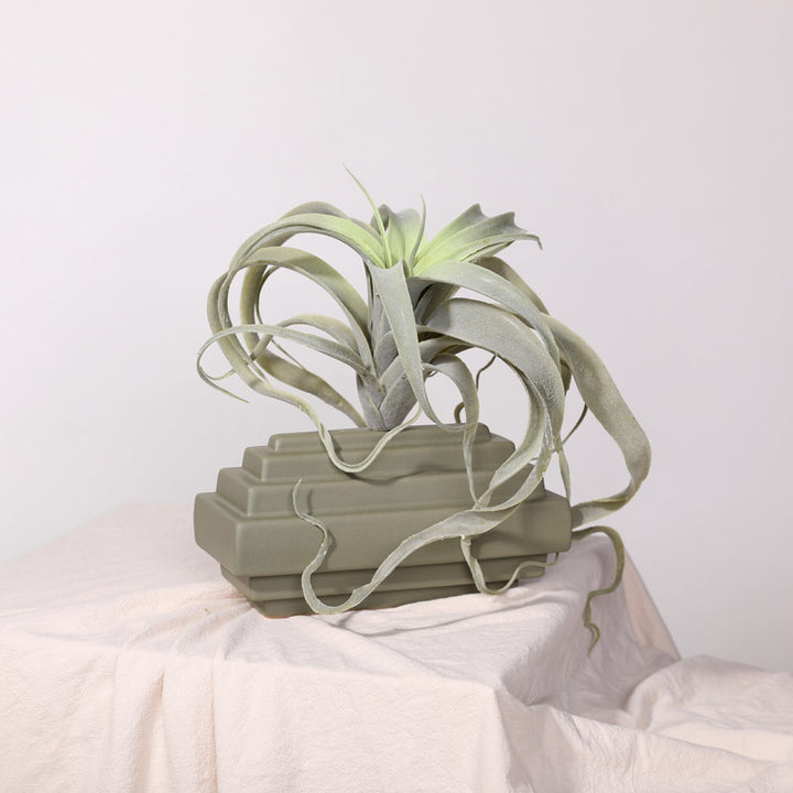 Modern Ribbed Ceramic Vase