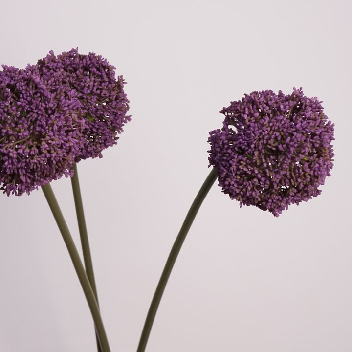 Luxe Allium Flower Decor