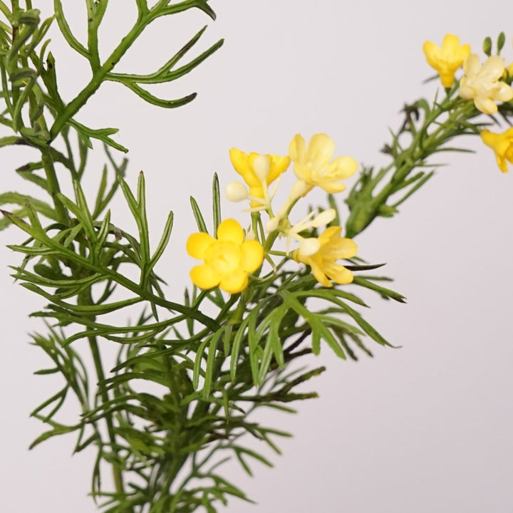 Faux Wintersweet Fern Sprig