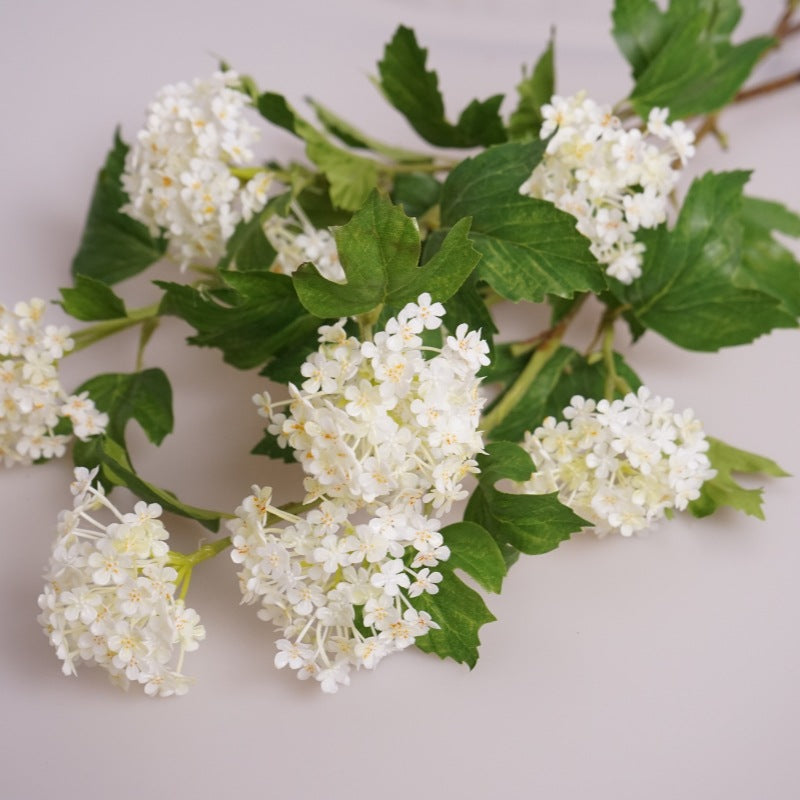 Viburnum Flower Decor