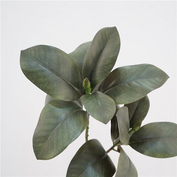Magnolia Leaf Decor