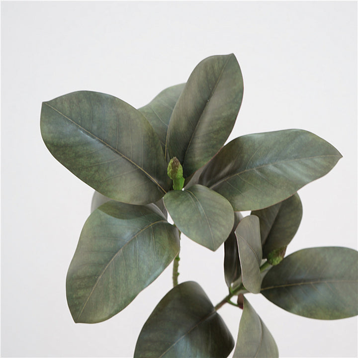 Magnolia Leaf Decor