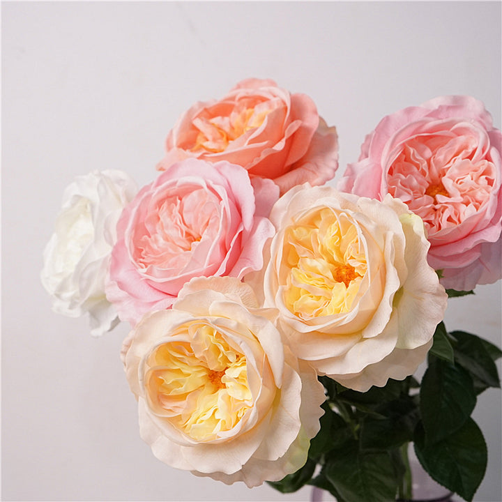 David Austin Roses Flower Decor