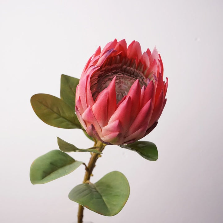 King Protea Flower Decor