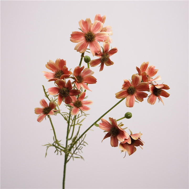 Charming Cosmos Flower Decor