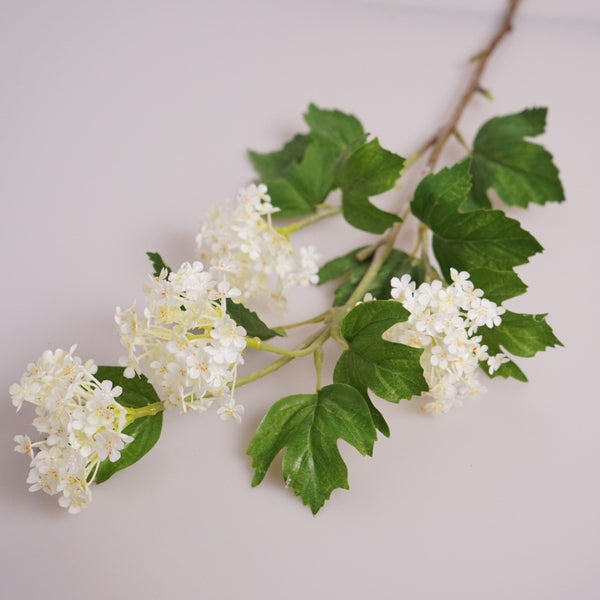 Viburnum Flower Decor