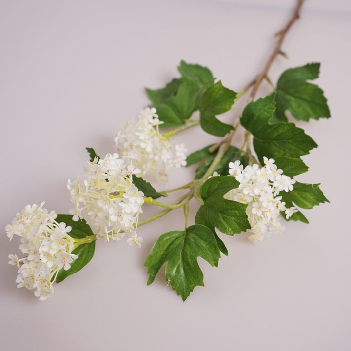 Viburnum Flower Decor