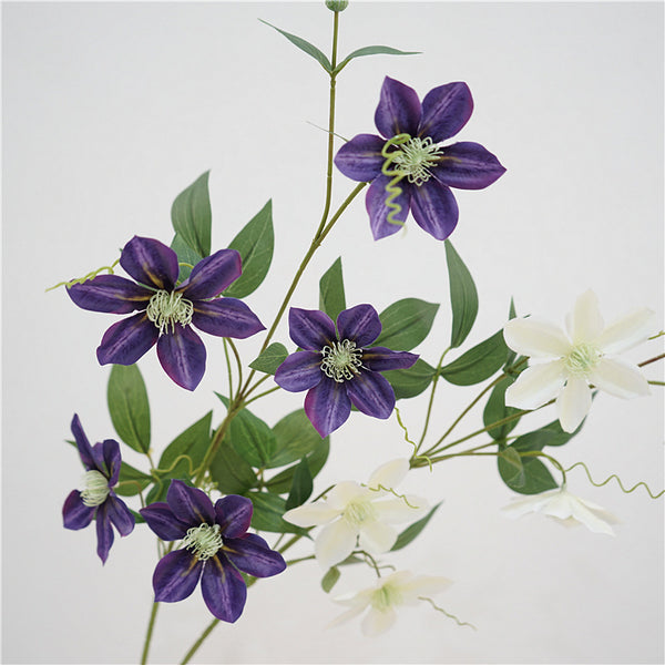 Majestic Clematis Flower Decor
