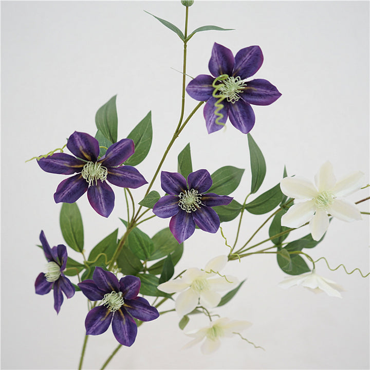 Majestic Clematis Flower Decor