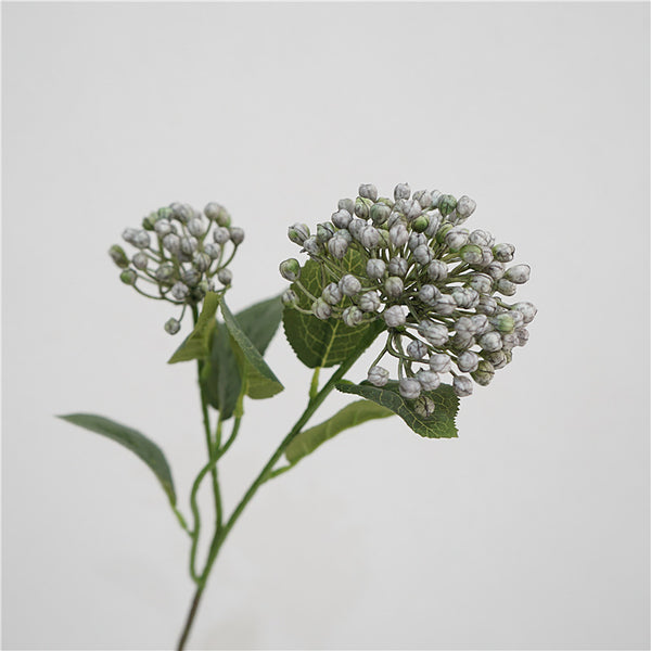 Viburnum Bud Flower Decor