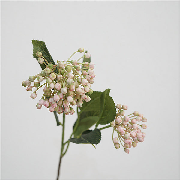 Viburnum Bud Flower Decor