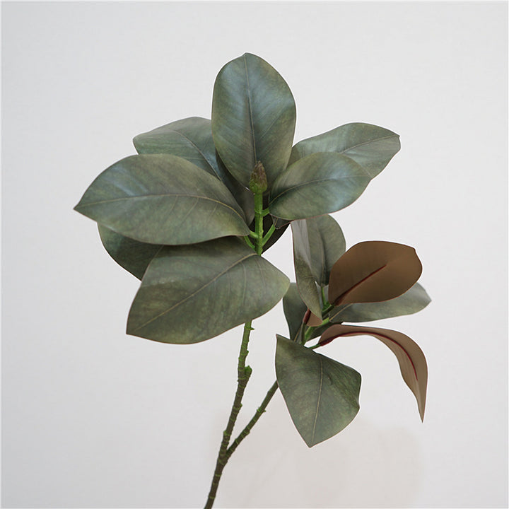 Magnolia Leaf Decor