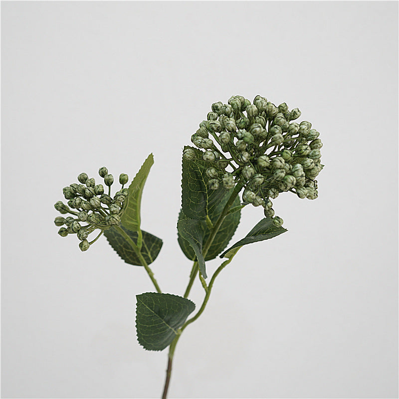 Viburnum Bud Flower Decor