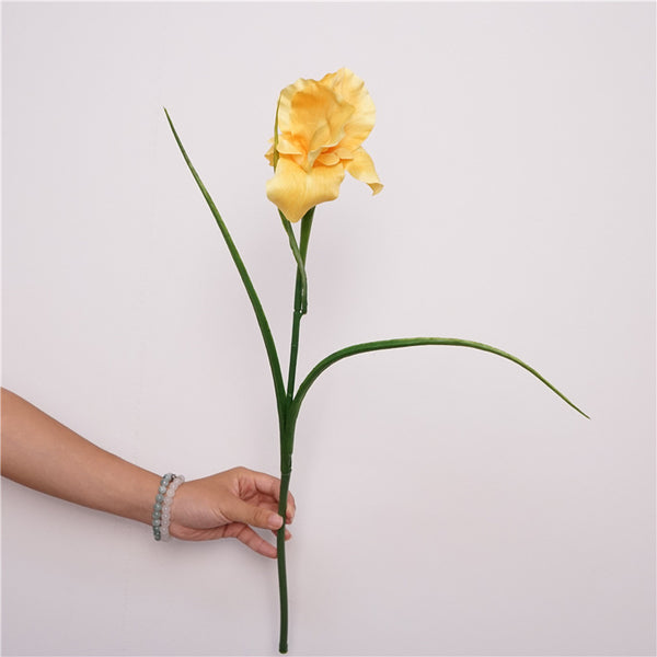 Faux Iris Stem