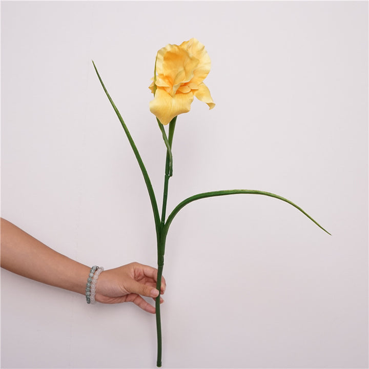 Faux Iris Stem