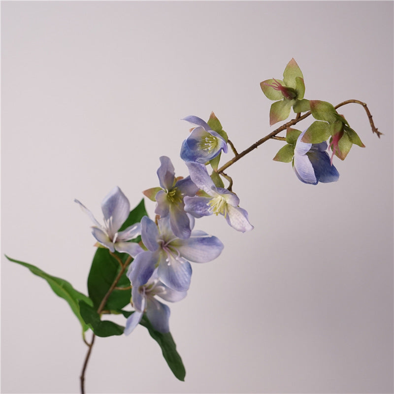Merr’s Clerodendrum Flower Decor