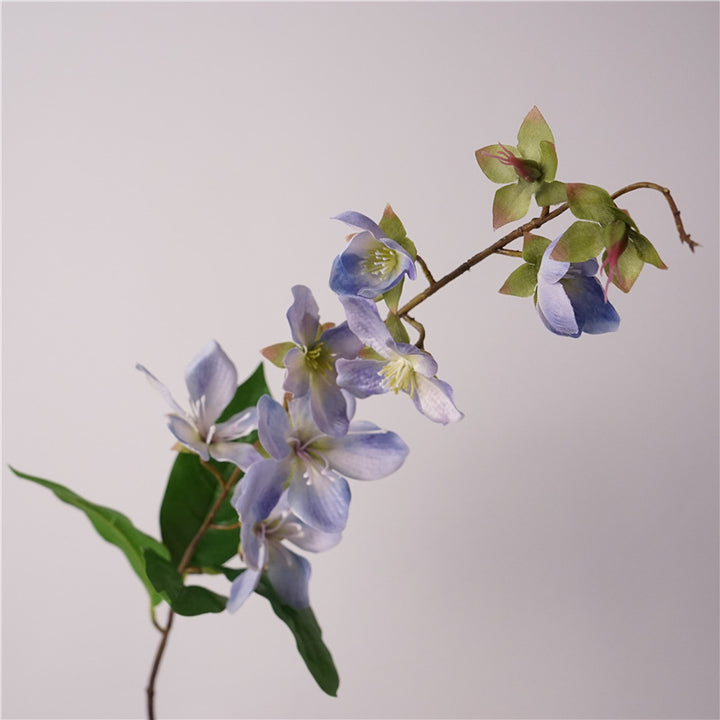 Merr’s Clerodendrum Flower Decor