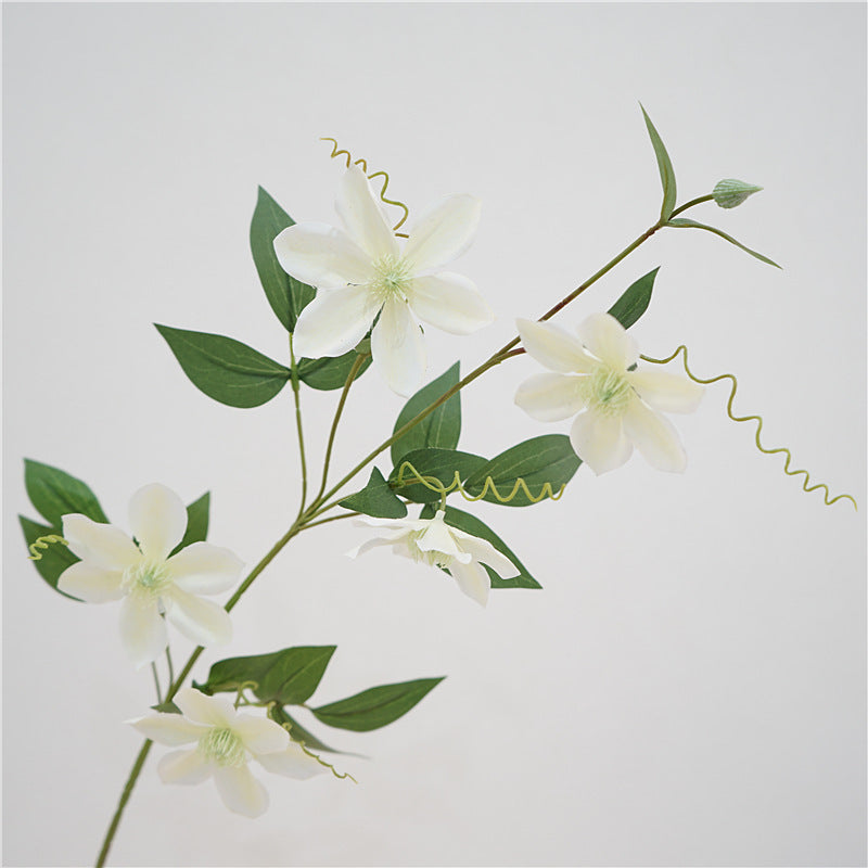 Majestic Clematis Flower Decor