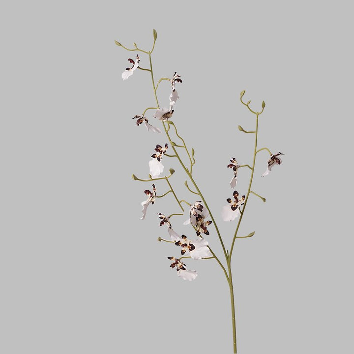 Orchid Oncidium Flower Decor