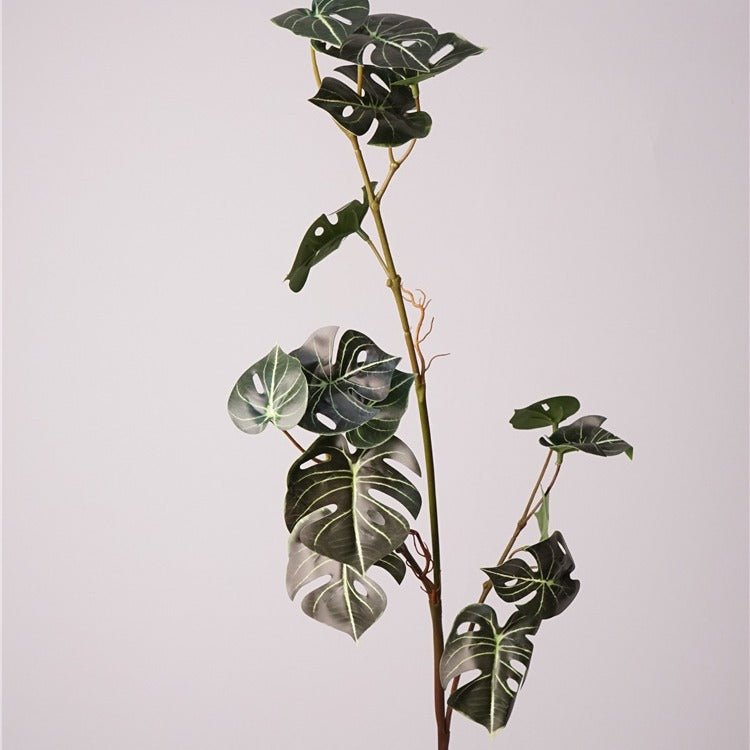 Monstera Deliciosa Plant Decor
