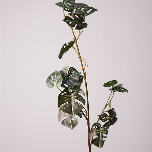 Monstera Deliciosa Plant Decor