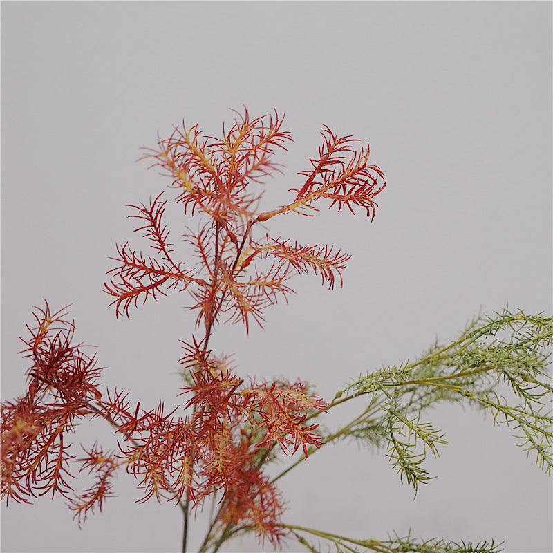 Asparagus Fern Flower Decor