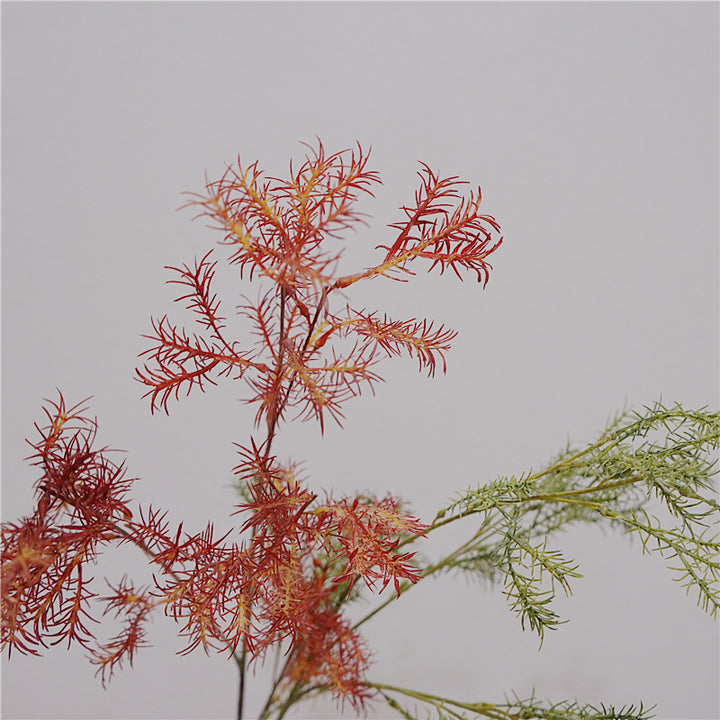 Asparagus Fern Flower Decor