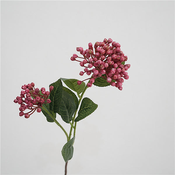 Viburnum Bud Flower Decor