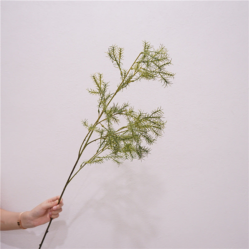 Asparagus Fern Flower Decor