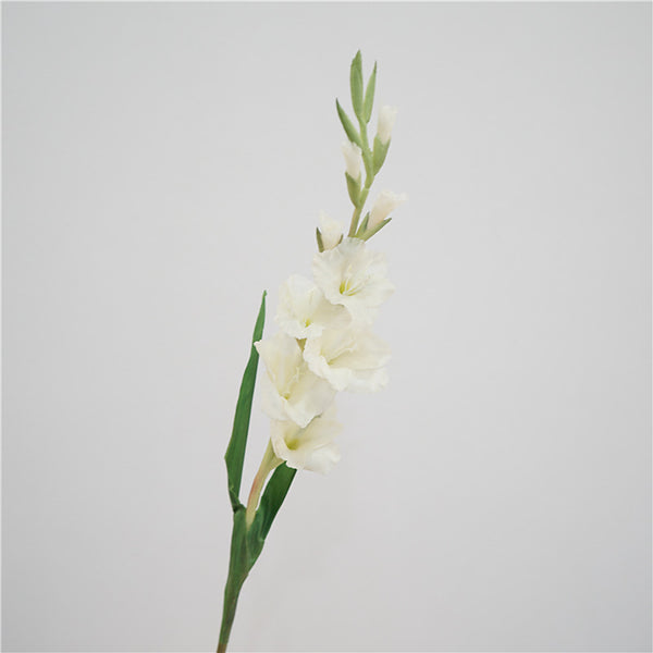 Gladiolus Flower Decor