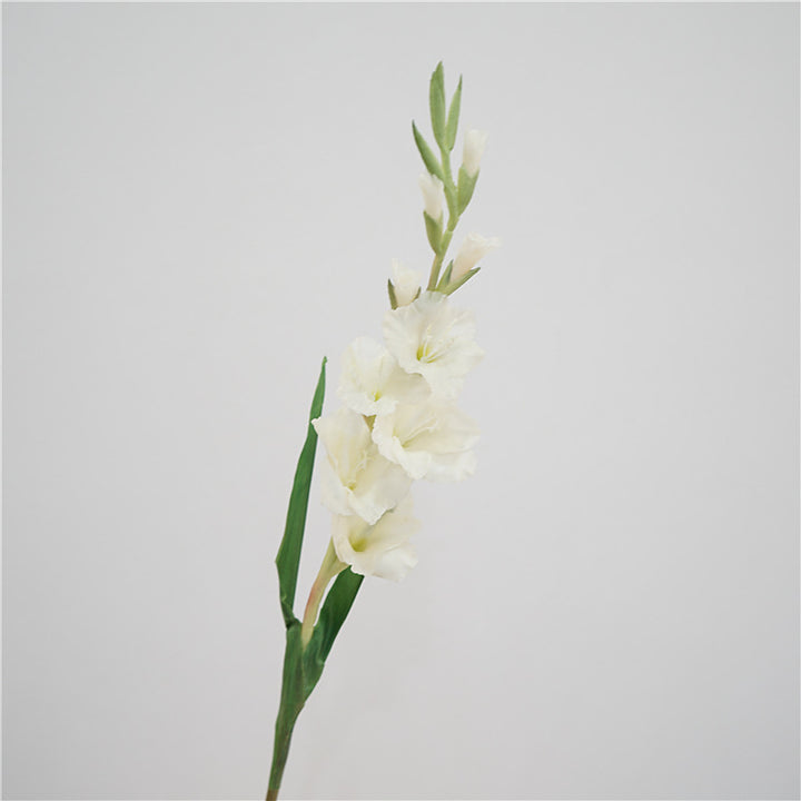 Gladiolus Flower Decor