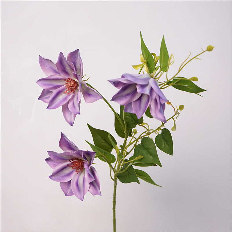 Clematis Flower Decor